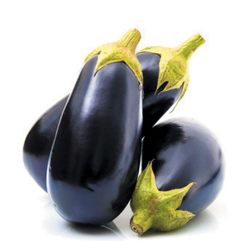 AUBERGINE_VIOLETTE