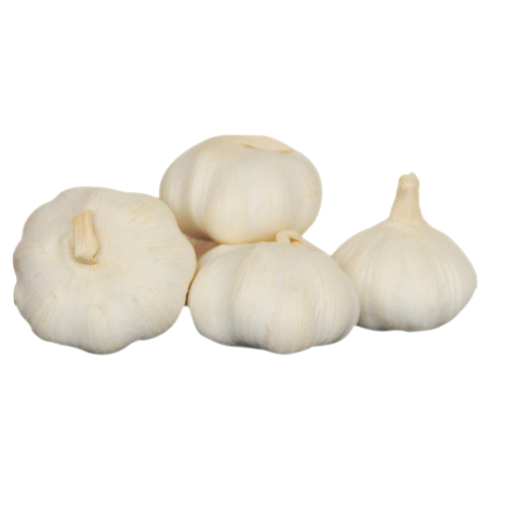 AIL FILET - 500G