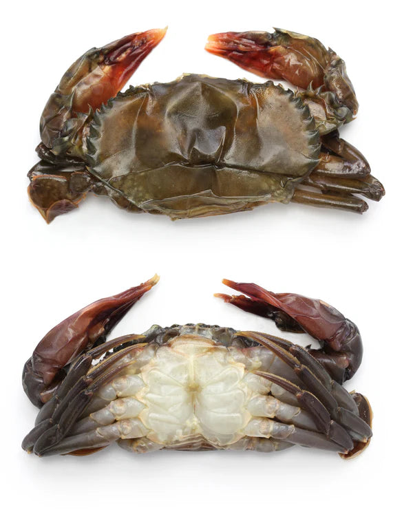 CRABE VERT PETIT - 1KG