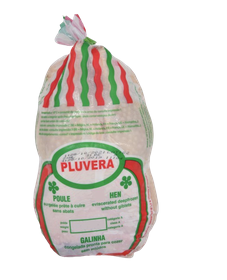 POULE PLUVERA - 1pcs