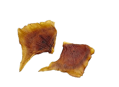 AILES DE RAIE FUMEES