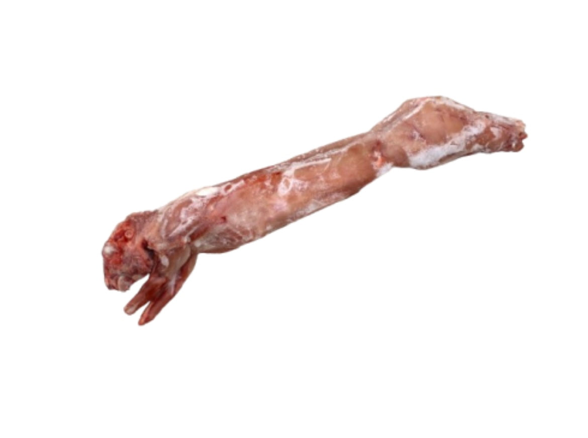LAPIN - 9.5KG
