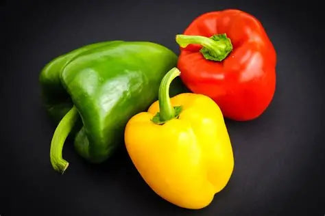 POIVRON FILET - 3pcs