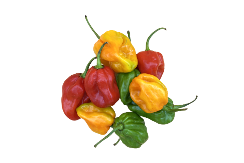 Piments-antilles