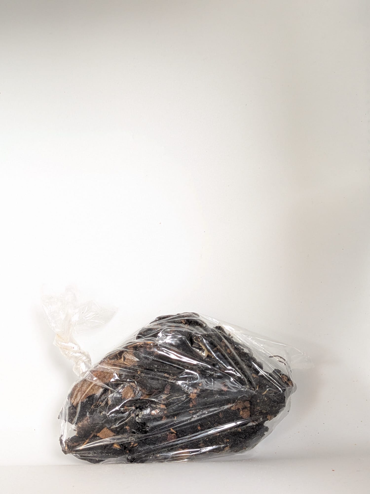 Champignon noir