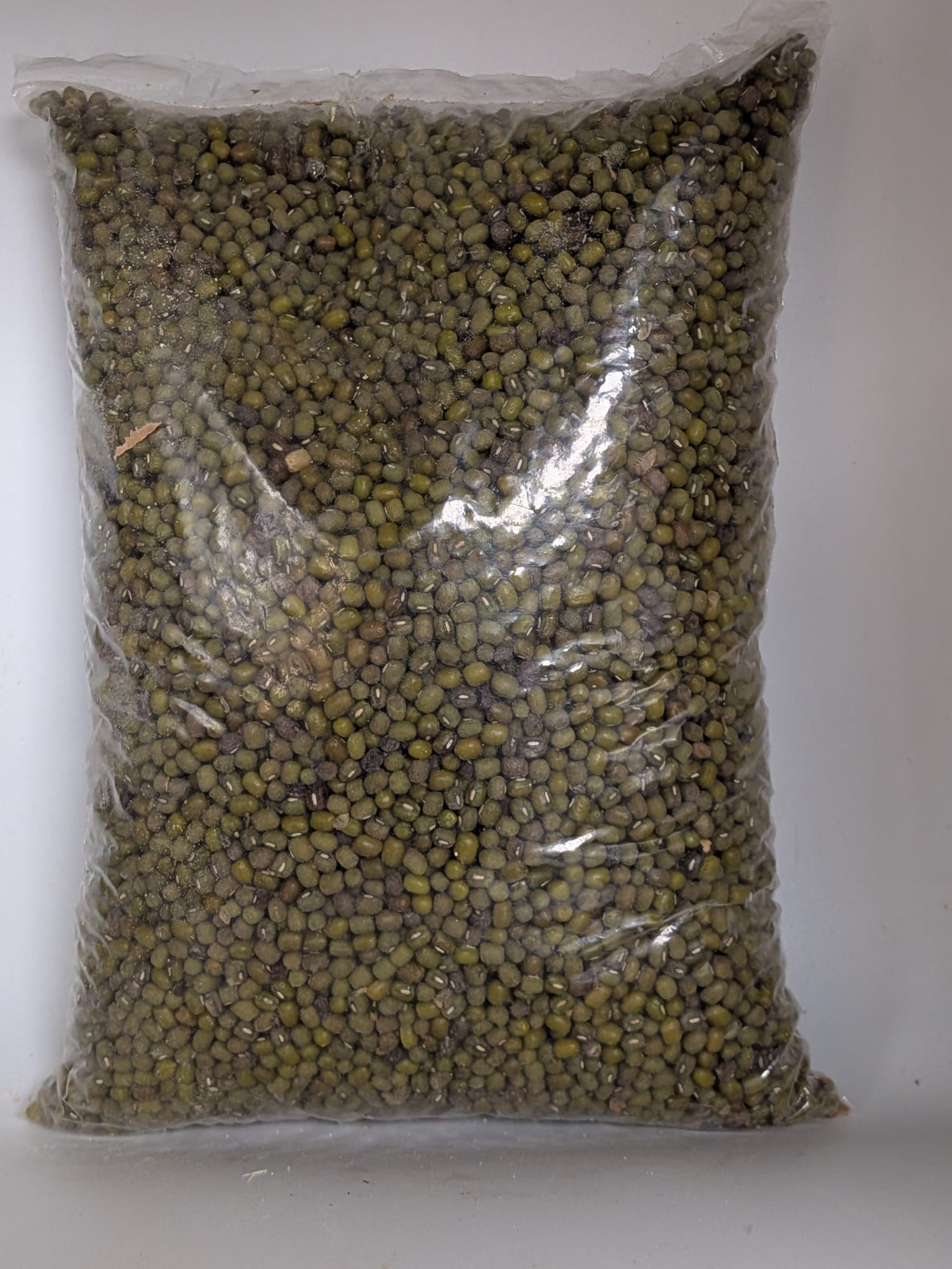 Grain de Soja