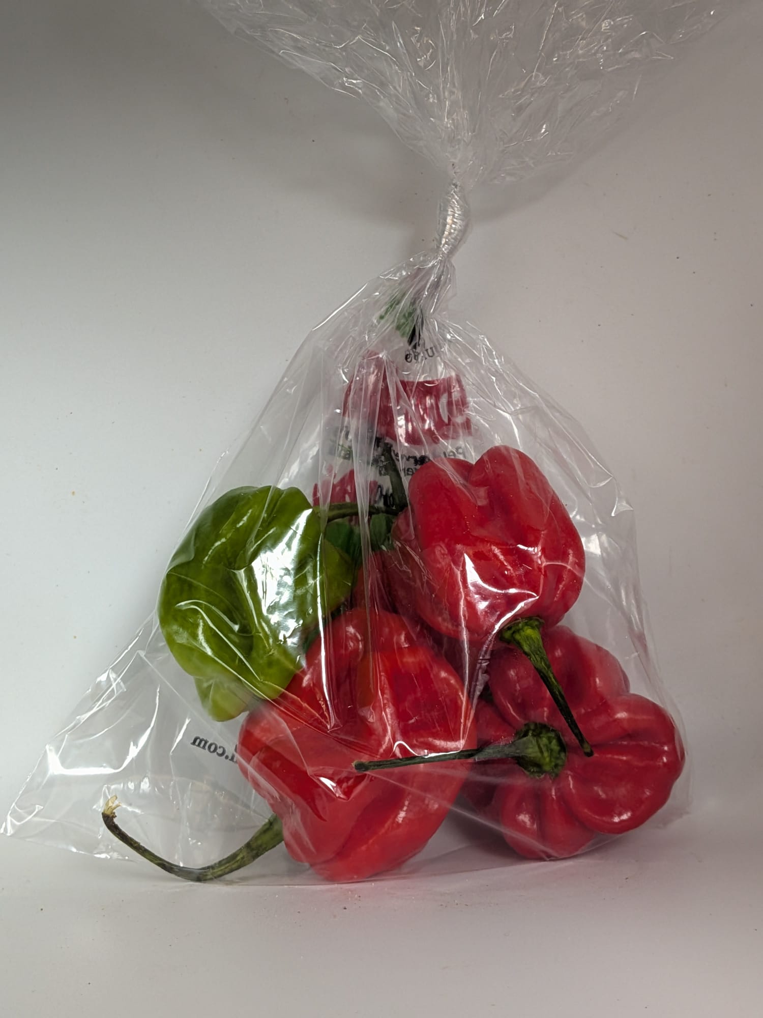 Piment