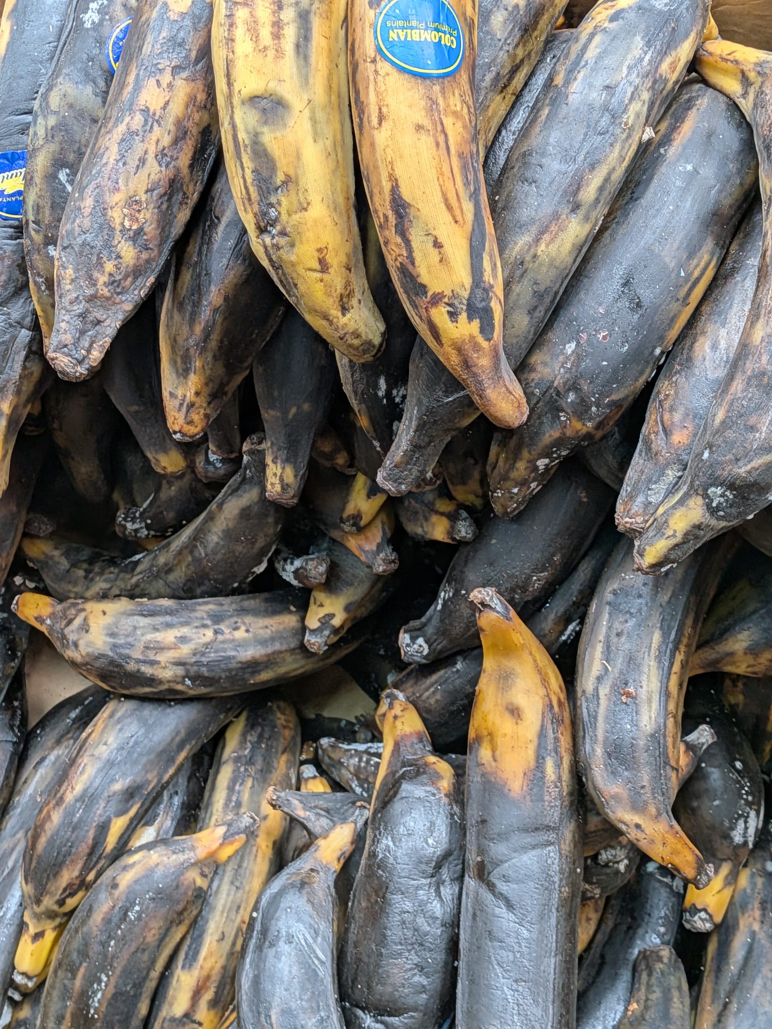 Banane plantain (alloco ou claclo)- 1kg