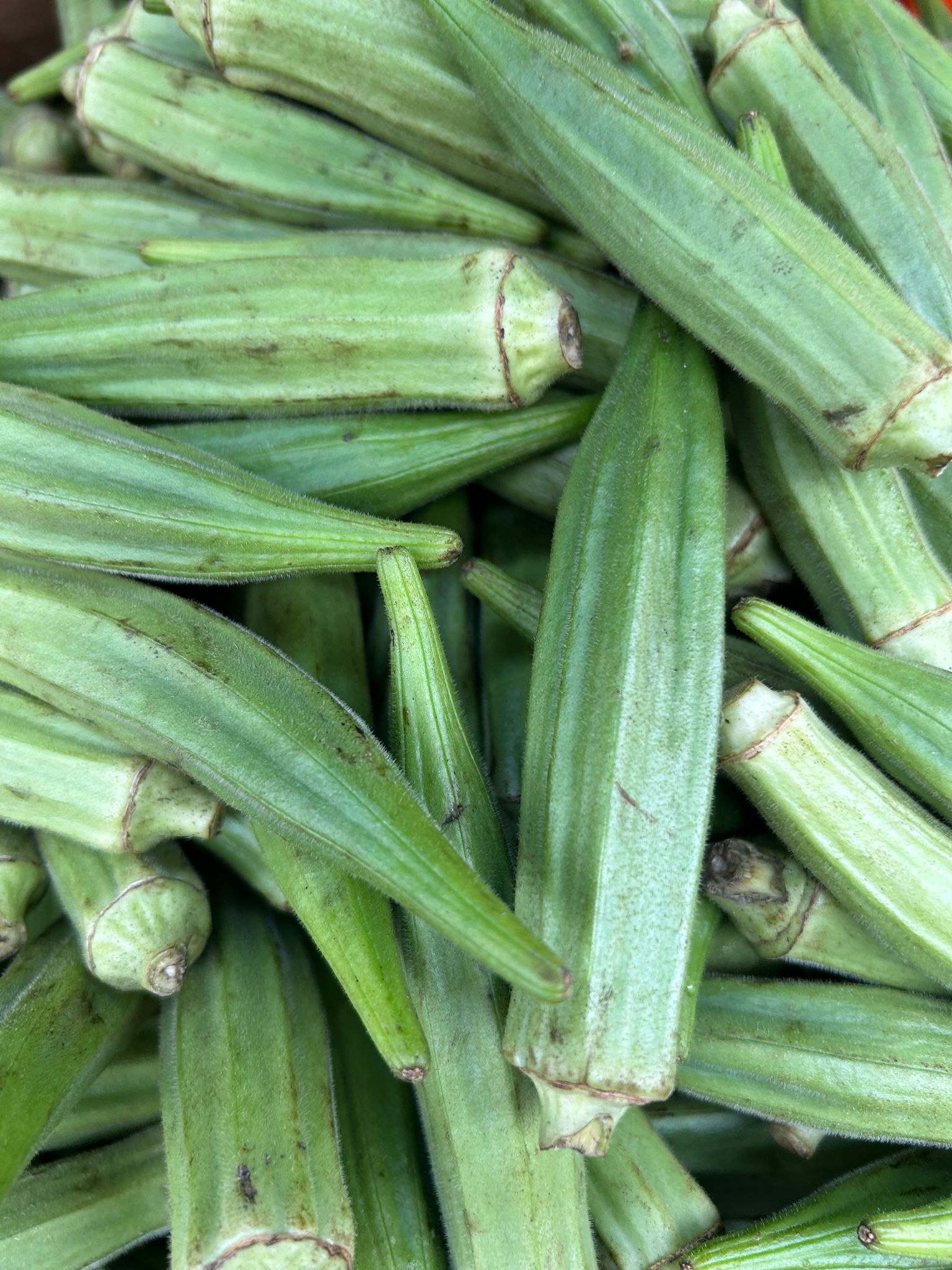 Gombo - 150G